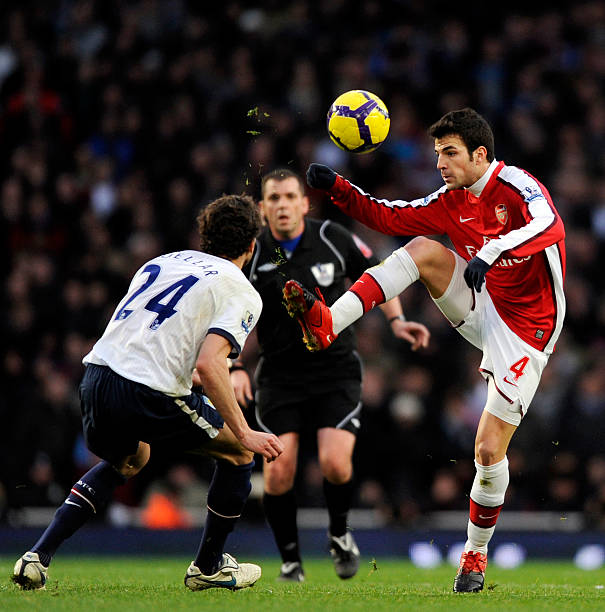 搭建起一座 搭建起一座